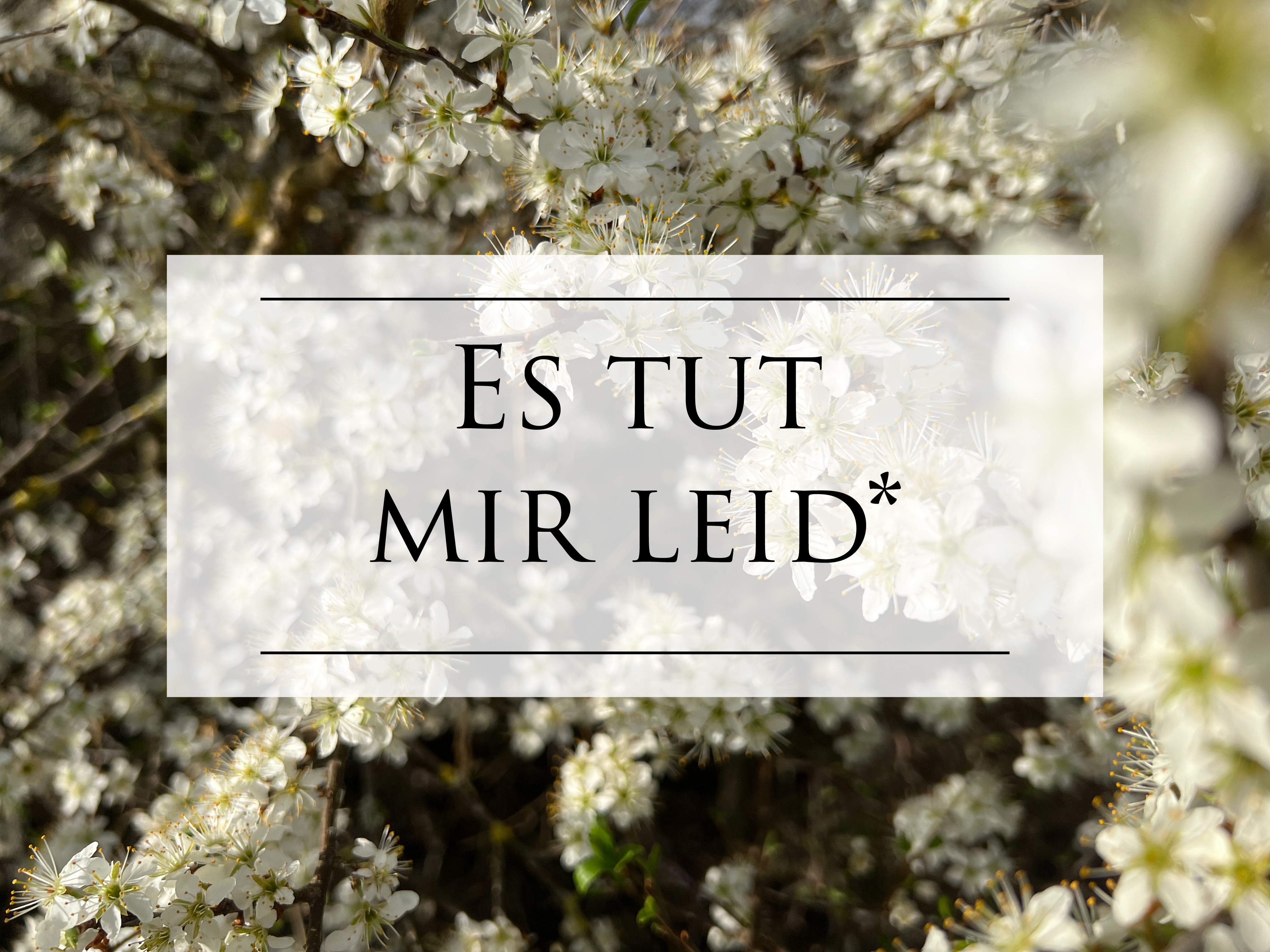 FFC78FDF-3CF4-4400-BFBE-B7B4867BE64B